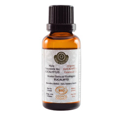 Huile essentielle d'eucalyptus globulus bio