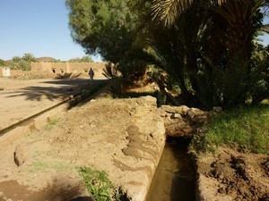 Terre d'Ecologis, partenaire de l'ONG L'Eau du Désert